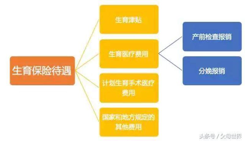 男性不育自查清单：5个关键数据帮你判断生育力