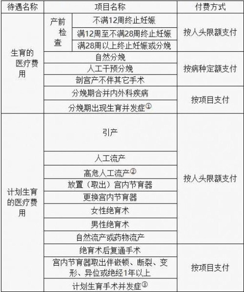 计划生育标语：从传统到现代，我们如何选择？